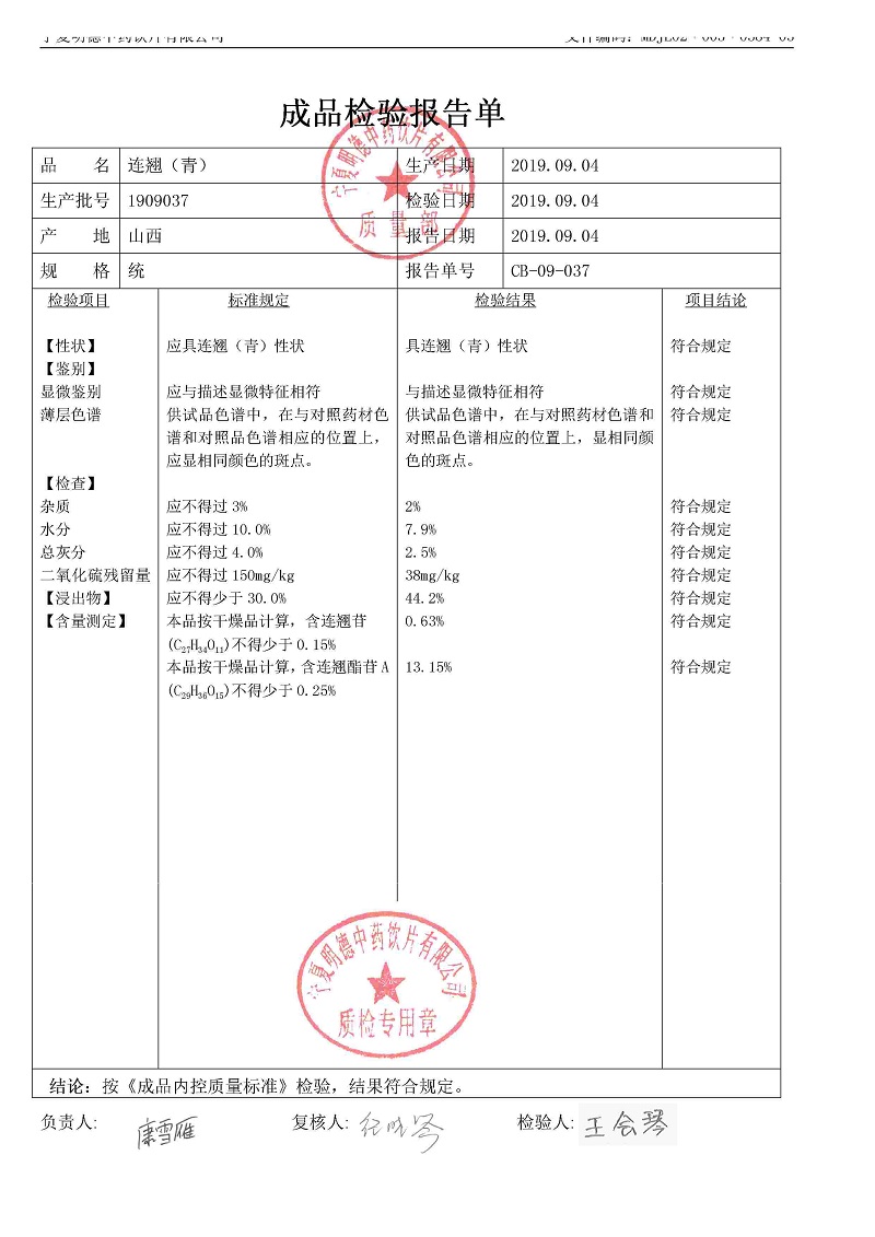 1909037連翹（青）.jpg